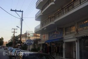 Scandinavia_accommodation_in_Hotel_Macedonia_Pieria_Paralia Katerinis