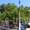 Alikes_accommodation_in_Room_Macedonia_Halkidiki_Chalkidiki Area