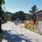 Alikes_holidays_in_Room_Macedonia_Halkidiki_Chalkidiki Area
