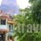 Irini Studios_best prices_in_Hotel_Aegean Islands_Lesvos_Petra