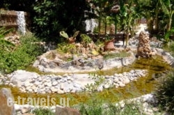 Stone Village Hotel Apartments_s __1
