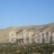 Horio Hotel_best prices_in_Hotel_Dodekanessos Islands_Simi_Symi Chora