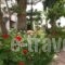 Classic Apartments_holidays_in_Apartment_Crete_Heraklion_Gouves