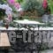 Olive Tree Cottages_holidays_in_Hotel_Crete_Chania_Palaeochora