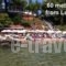 Loxandra Studios_best deals_Hotel_Macedonia_Halkidiki_Poligyros