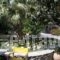 Olive Tree Cottages_travel_packages_in_Crete_Chania_Palaeochora