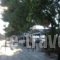 Kypreos_holidays_in_Hotel_Central Greece_Fthiotida_Kamena Vourla