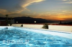 Virginia Hotel_s __1