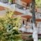 Hotel Kalypso_best prices_in_Hotel_Central Greece_Evia_Edipsos