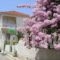 Kyknos_best prices_in_Apartment_Ionian Islands_Kefalonia_Argostoli