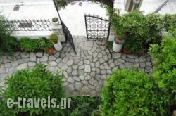 Acropolis Hotel_s __1