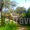 Elena's Rooms_best deals_Apartment_Peloponesse_Arcadia_Levidi