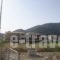 Calypso_best deals_Apartment_Ionian Islands_Lefkada_Vasiliki