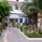 Vasilakis Studios & Apartments_travel_packages_in_Crete_Heraklion_Malia