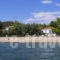 Villa Asterianna_holidays_in_Villa_Macedonia_Halkidiki_Poligyros