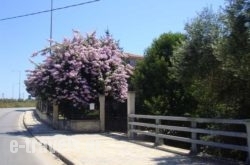 Avra Hotel_s __1