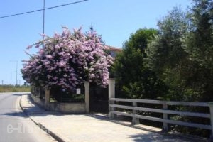 Avra Hotel_accommodation_in_Hotel_Epirus_Preveza_Preveza City