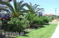 Vicky Apartments_s __1
