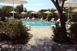 Onira Studios_accommodation_in_Room_Cyclades Islands_Paros_Paros Chora