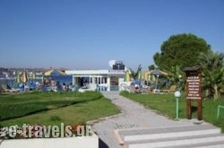 Elpida Studios_s __1
