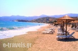 Corina_s __1