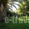 Giardino Studios_travel_packages_in_Ionian Islands_Corfu_Ypsos