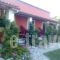 Giardino Studios_best deals_Apartment_Ionian Islands_Corfu_Ypsos