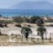 Perla_accommodation_in_Apartment_Cyclades Islands_Naxos_Agios Prokopios