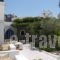 Captain Manolis_lowest prices_in_Hotel_Cyclades Islands_Paros_Paros Chora