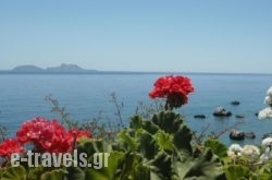 Nikos Place_s __1