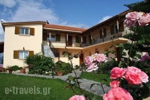 Lefki Studios_accommodation_in_Hotel_Ionian Islands_Kefalonia_Kefalonia'st Areas