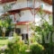 Anastasia_best prices_in_Apartment_Macedonia_Halkidiki_Fourka
