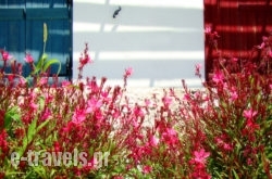 Palatiana Philoxenia Cottages in Naxos Chora, Naxos, Cyclades Islands