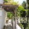 Aphrodite Pension_best prices_in_Room_Crete_Rethymnon_Plakias