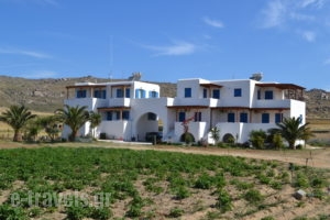 Joanna's Apartments_accommodation_in_Apartment_Cyclades Islands_Naxos_Naxos Chora