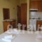 Katerina Studios_best deals_Room_Aegean Islands_Thasos_Limenaria