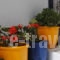 Lefteris_lowest prices_in_Hotel_Cyclades Islands_Mykonos_Mykonos Chora