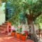 Summer_accommodation_in_Apartment_Macedonia_Halkidiki_Chalkidiki Area