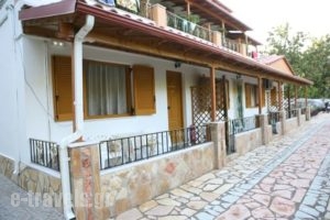 Dallas Studios_best prices_in_Apartment_Epirus_Preveza_Parga