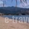 Fuji_holidays_in_Hotel_Central Greece_Evia_Istiea