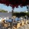 Mare Blue Apartments_accommodation_in_Apartment_Dodekanessos Islands_Kos_Kos Chora