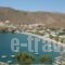 Drouga's Studios_travel_packages_in_Dodekanessos Islands_Astipalea_Livadia
