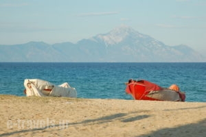 Oreos Appartments_best deals_Room_Macedonia_Halkidiki_Sarti