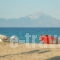 Oreos Appartments_best deals_Room_Macedonia_Halkidiki_Sarti