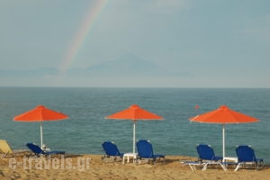 Oreos Appartments_holidays_in_Room_Macedonia_Halkidiki_Sarti