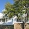Ostria Studios_best deals_Hotel_Cyclades Islands_Andros_Gavrio