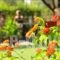 Villa Annilena_best prices_in_Villa_Peloponesse_Achaia_Aigio