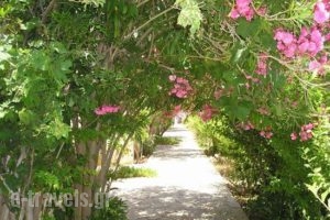 Panmar Apartments_travel_packages_in_Crete_Lasithi_Makrys Gialos