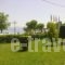 Violetta_accommodation_in_Hotel_Central Greece_Fthiotida_Kamena Vourla