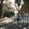 Camelia_accommodation_in_Hotel_Dodekanessos Islands_Kos_Kos Chora